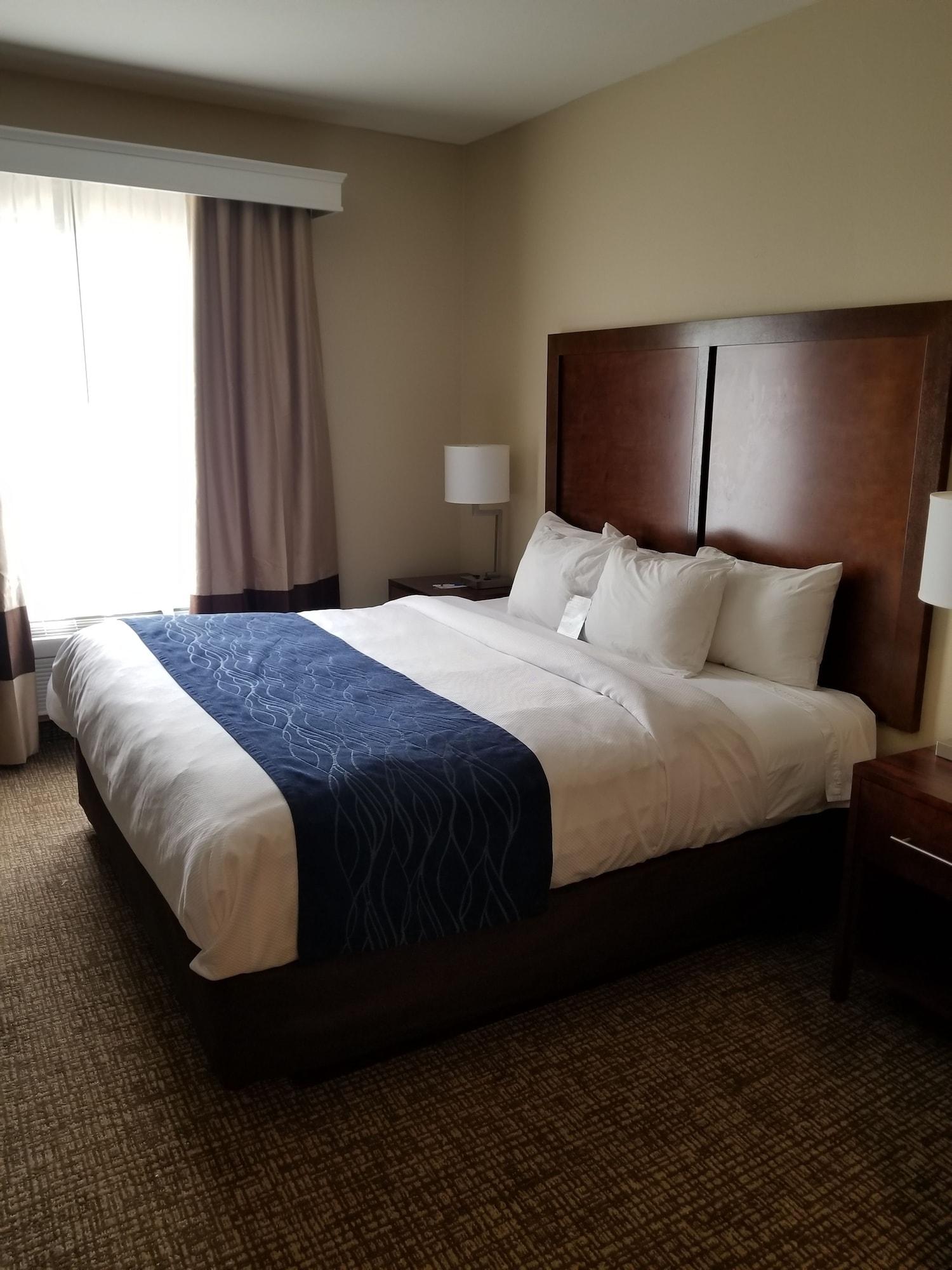 Sonesta Essential - Baton Rouge Airport Hotel Exterior photo